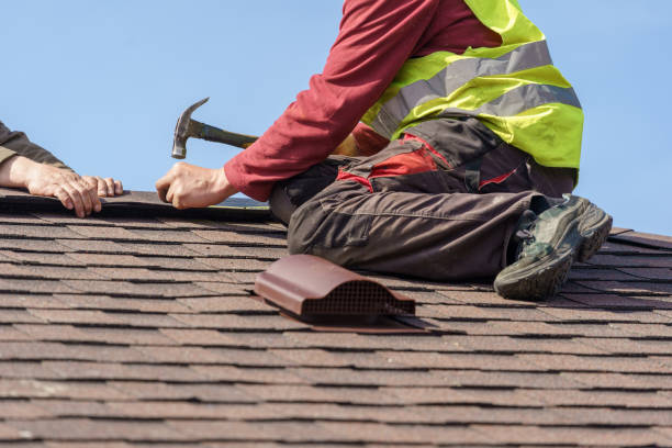 Best Affordable Roofing Company  in Webster City, IA