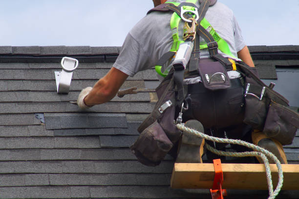 Best Metal Roofing Contractor  in Webster City, IA