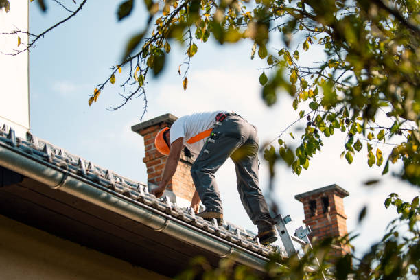 Best Roof Waterproofing Services  in Webster City, IA