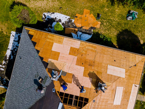 Best Flat Roof Repair Services  in Webster City, IA