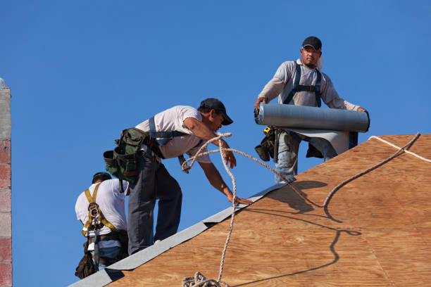 Best Roof Leak Repair  in Webster City, IA