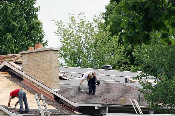 Best Roof Maintenance Services  in Webster City, IA