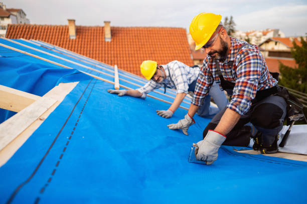 Best Flat Roof Repair Services  in Webster City, IA