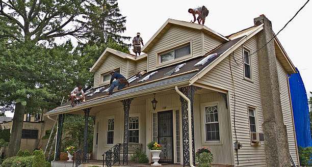 Best Best Roofing Contractors  in Webster City, IA